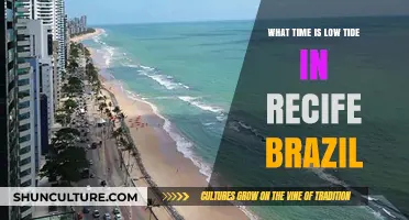 Recife Brazil Low Tide Times: Plan Your Beach Day Perfectly