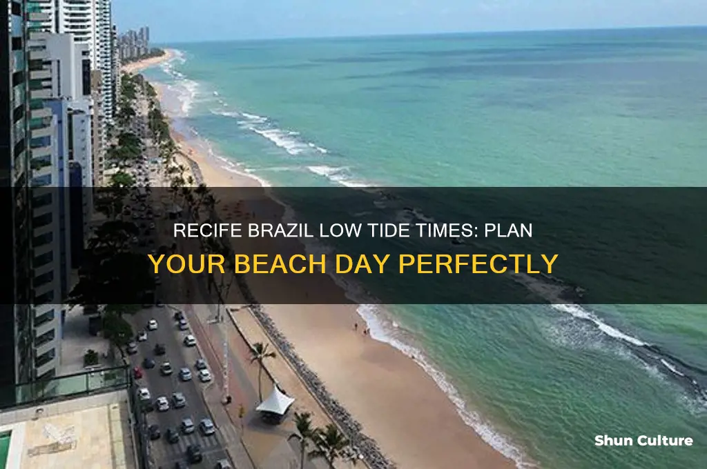 what time is low tide in recife brazil