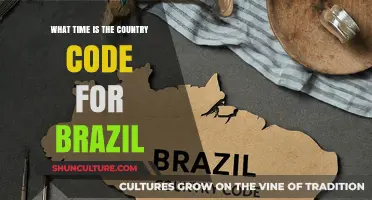 Brazil's Country Code: Understanding International Dialing Times and Usage