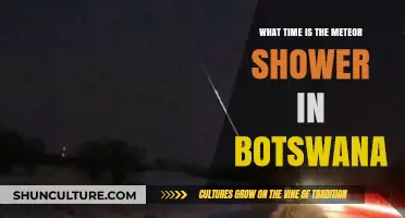 Botswana's Meteor Shower: Best Viewing Time and Tips