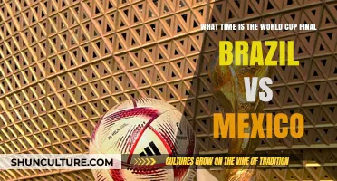 Brazil vs Mexico: World Cup Final Kickoff Time Revealed