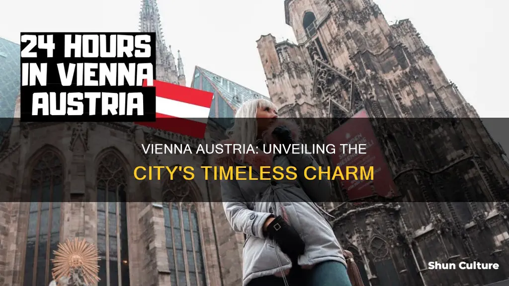 what time is vieanna austria