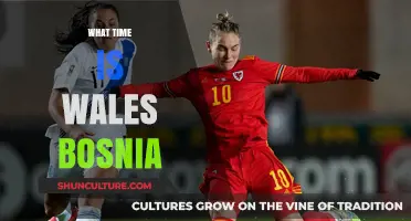 Wales vs Bosnia Kick-Off Time: When and Where to Watch