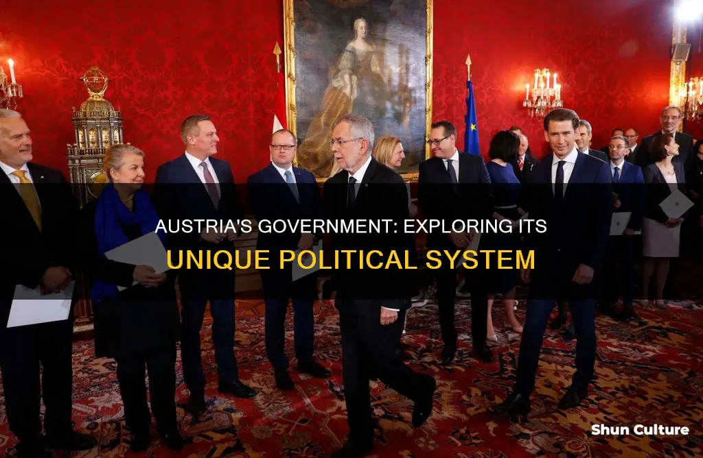 what time of goverment does austria have