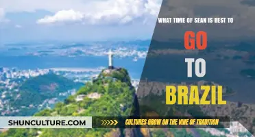 Best Season to Visit Brazil: Travel Tips for Ideal Weather
