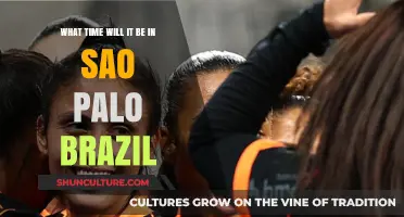 Current Time in São Paulo, Brazil: Your Quick Time Zone Guide