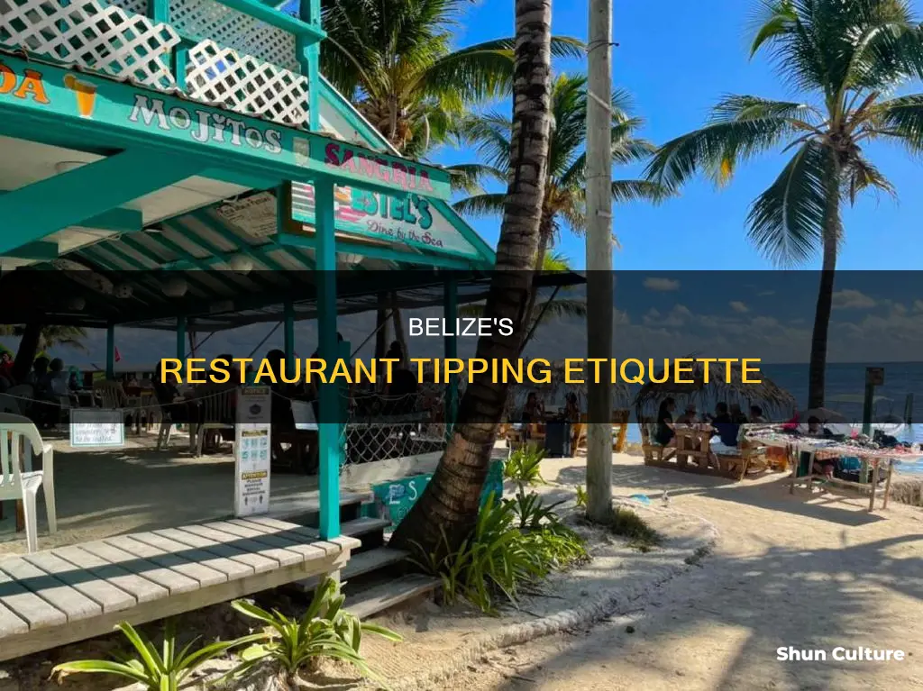 what tip is customary in belize resturants