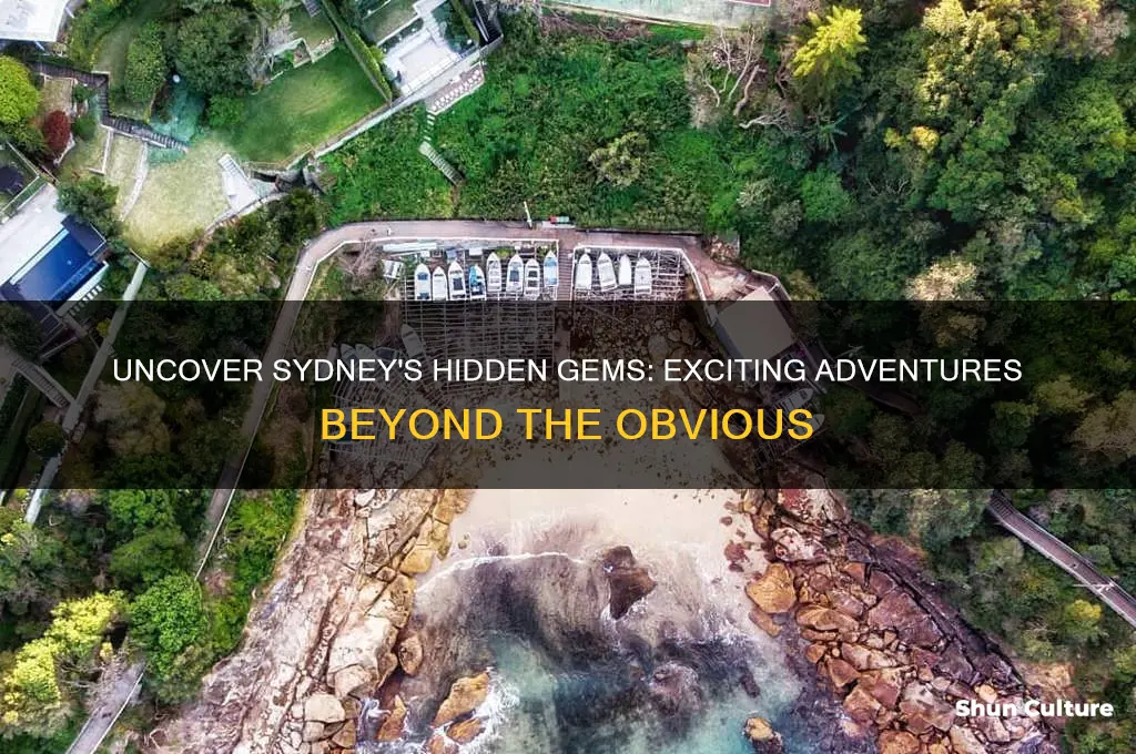 what to actually do in sydney australia that isnt lame