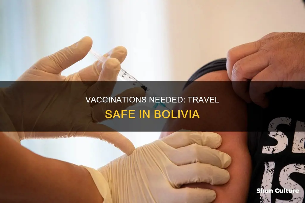 what to be vaccinated for in bolivia