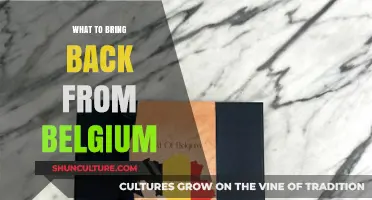 Belgian Souvenirs: Must-Bring Delights and Treasures from Belgium