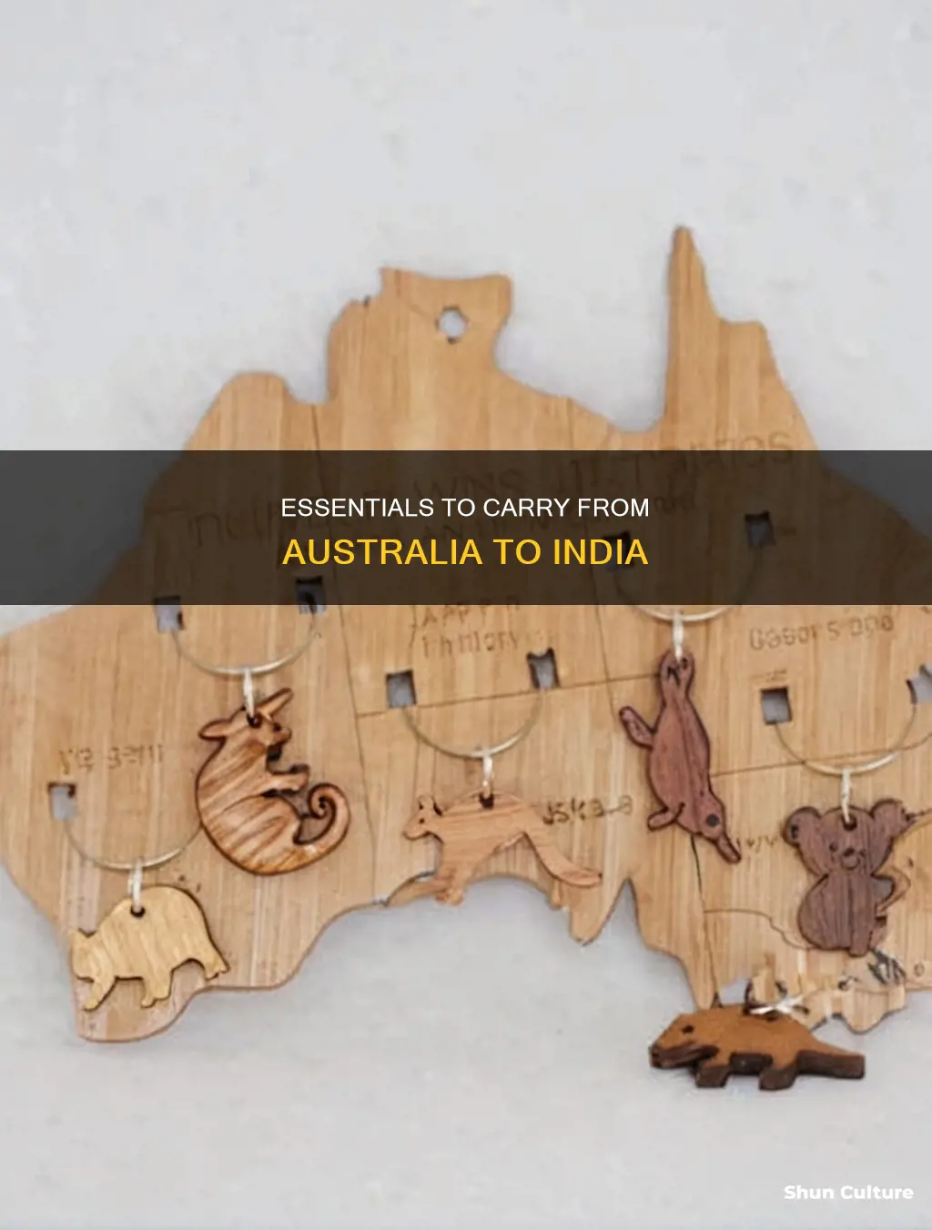 what to bring from australia to india