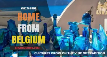 Belgian Treasures: Must-Bring Souvenirs from Belgium's Rich Culture