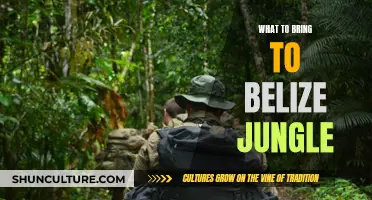 Belize Jungle: Packing Essentials