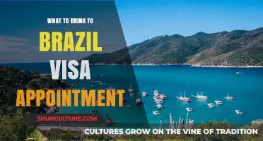 Essential Items to Pack for Your Brazil Visa Appointment