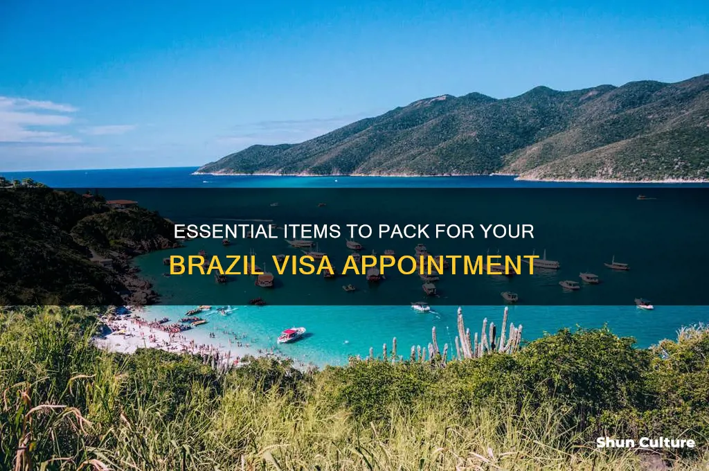 what to bring to brazil visa appointment