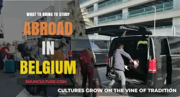 Essential Packing Tips for Your Study Abroad Adventure in Belgium