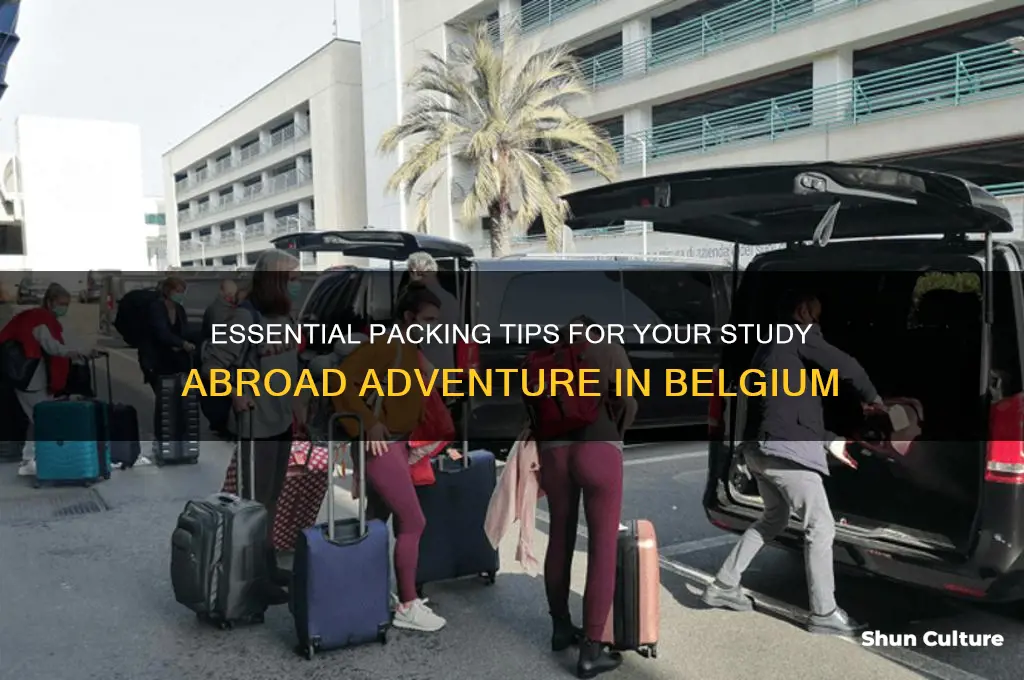 what to bring to study abroad in belgium
