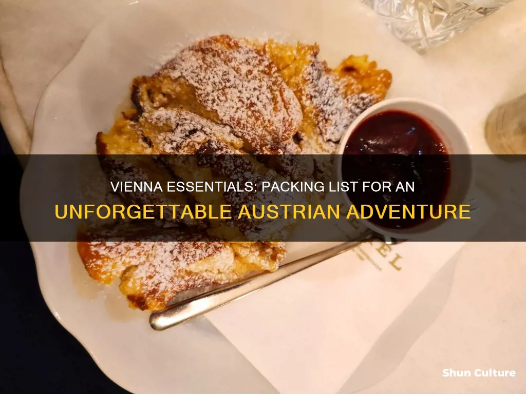 what to bring to vienna austria