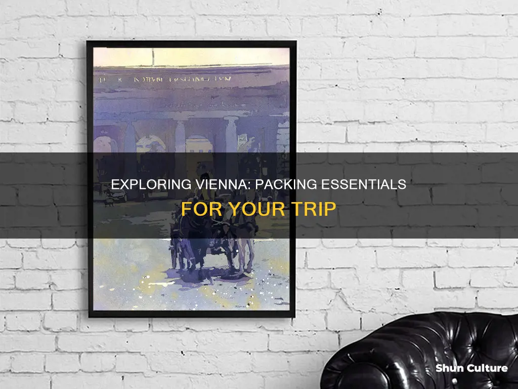 what to bring to vienna austria