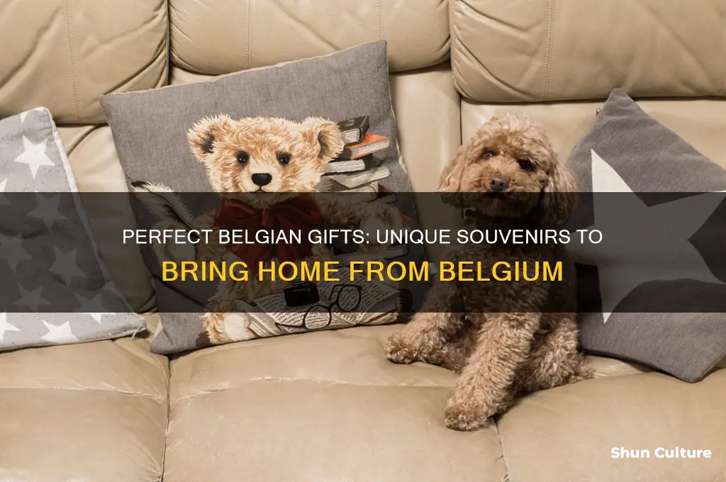 what to buy as a gift from belgium