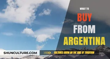 Essential Argentine Treasures: A Shopper's Guide to Unique Finds