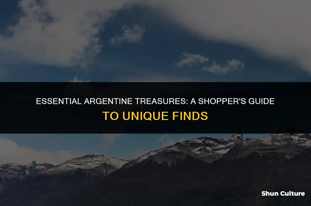 what to buy from argentina