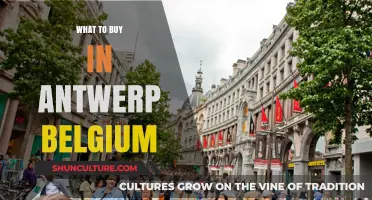 Discover Antwerp's Hidden Gems: A Shopper's Guide to Unique Finds
