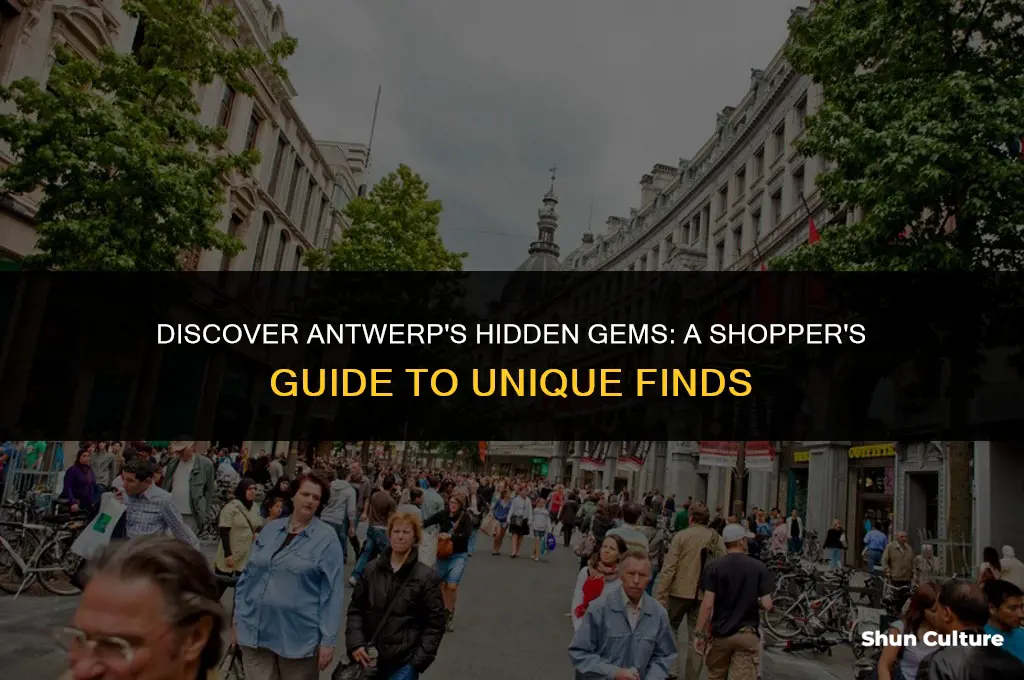 what to buy in antwerp belgium