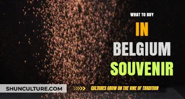 Unique Belgian Souvenirs: A Shopper's Guide to Authentic Treasures