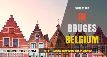 Discover Bruges' Hidden Gems: A Shopper's Guide to Belgium's Charm