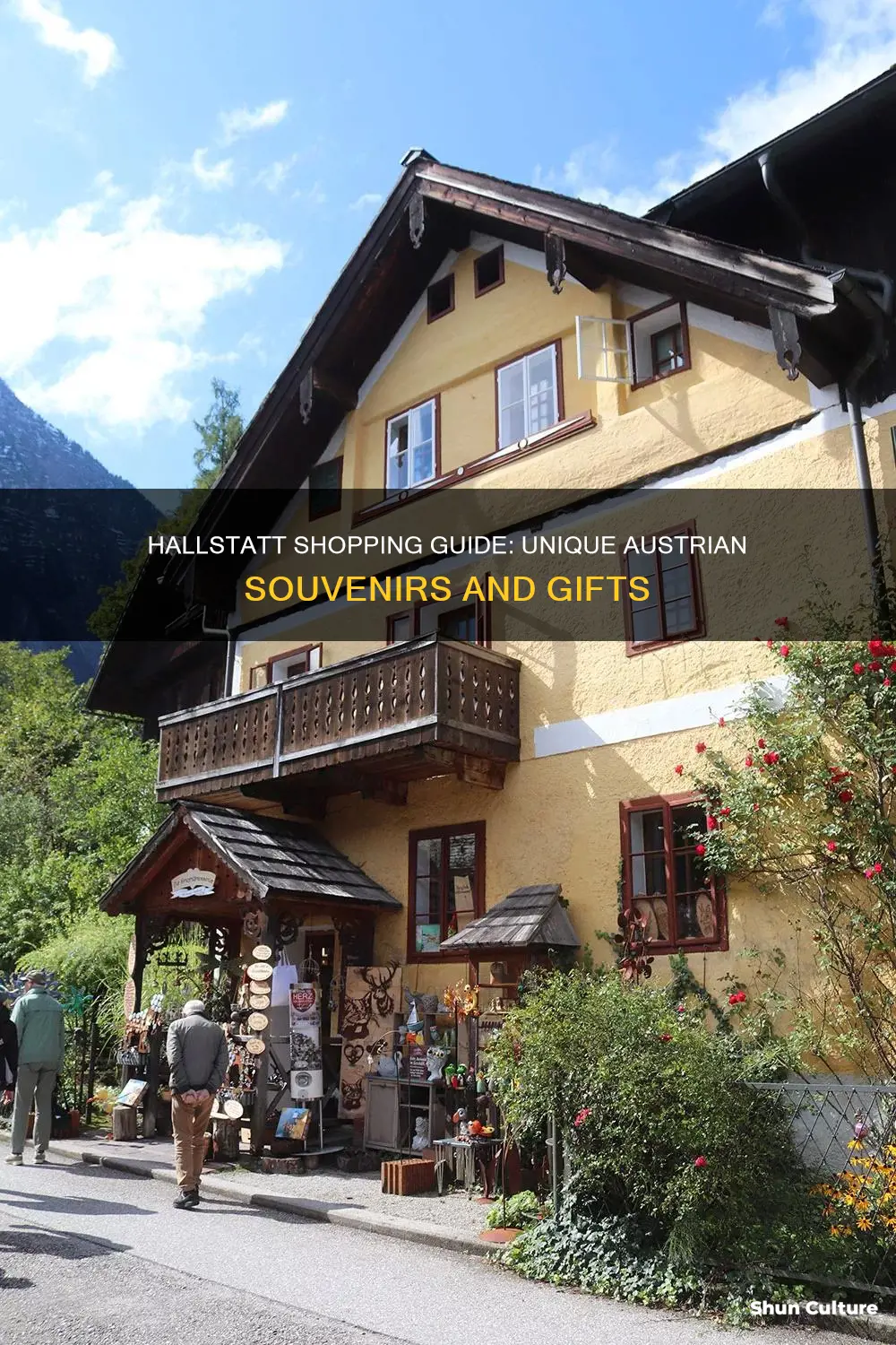 what to buy in hallstatt austria