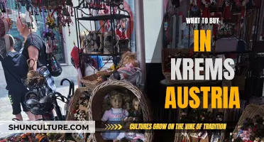 Krems Austria: Top 5 Must-Buy Items for Visitors