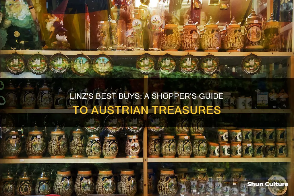 what to buy in linz austria