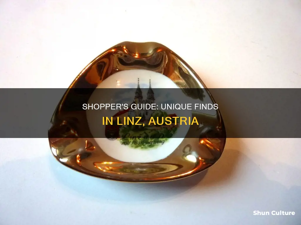 what to buy in linz austria
