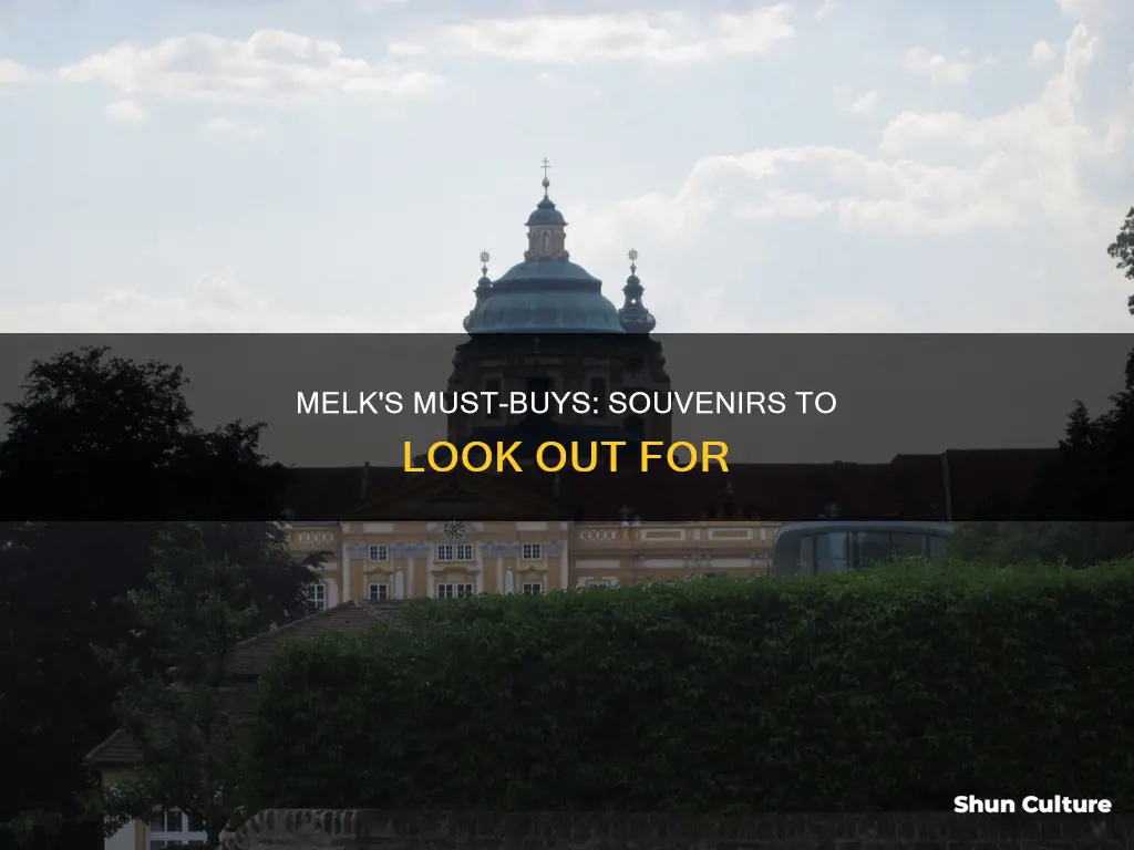 what to buy in melk austria