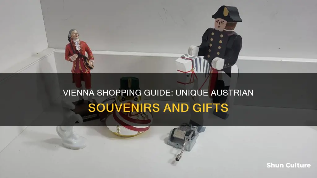 what to buy in vienna austria