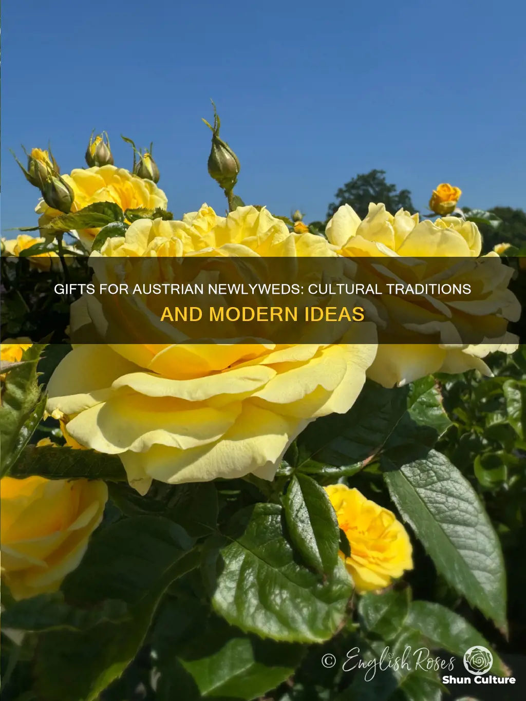 what to buy newlyweds from austria