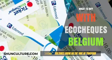 Sustainable Shopping in Belgium: Your Guide to Eco-Friendly Purchases with Eco-Cheques