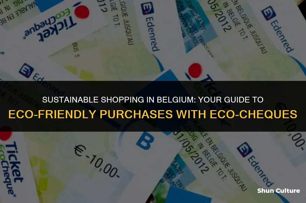 what to buy with ecocheques belgium