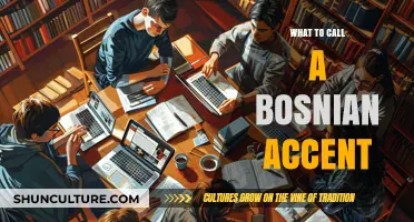 Understanding the Unique Bosnian Accent: A Guide to Its Distinctive Name