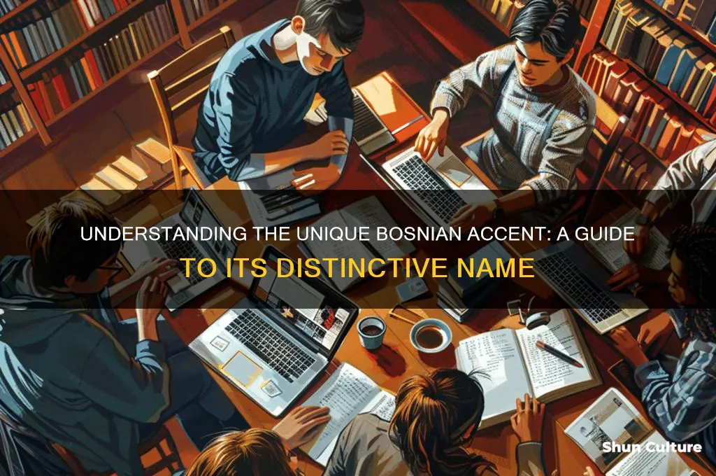 what to call a bosnian accent