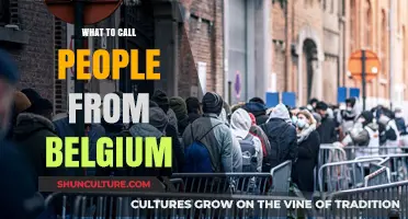 Exploring Belgian Identities: What to Call People from Belgium?