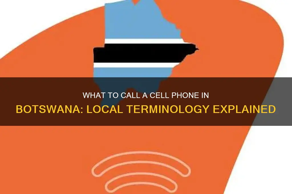what to callc ell phone in botswana