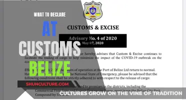 Belize Customs: Declare to Clear