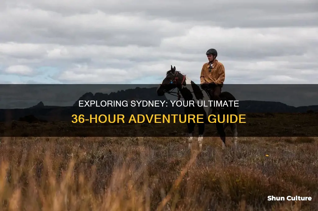 what-to-do-36-hours-in-sydney-australia