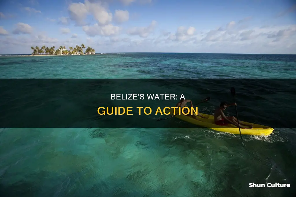 what to do about water in belize