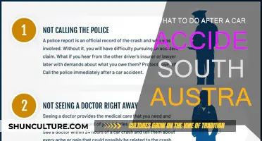 Post-Car Accident: Your South Australia Survival Guide