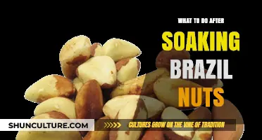Post-Soak Brazil Nut Magic: Creative Ways to Enjoy Activated Goodness