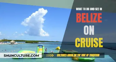 Belize Cruise: Adventure and Reefs