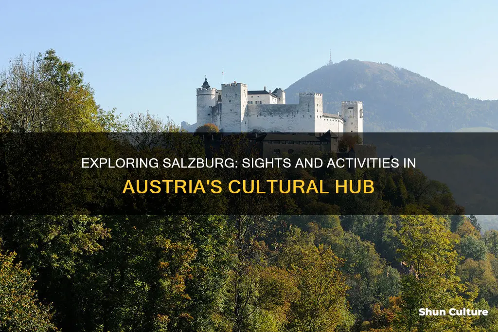 what to do and see in salzburg austria